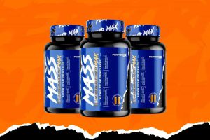 مکمل مس مکس پرفورمکس لبز Performax Labz MassMax