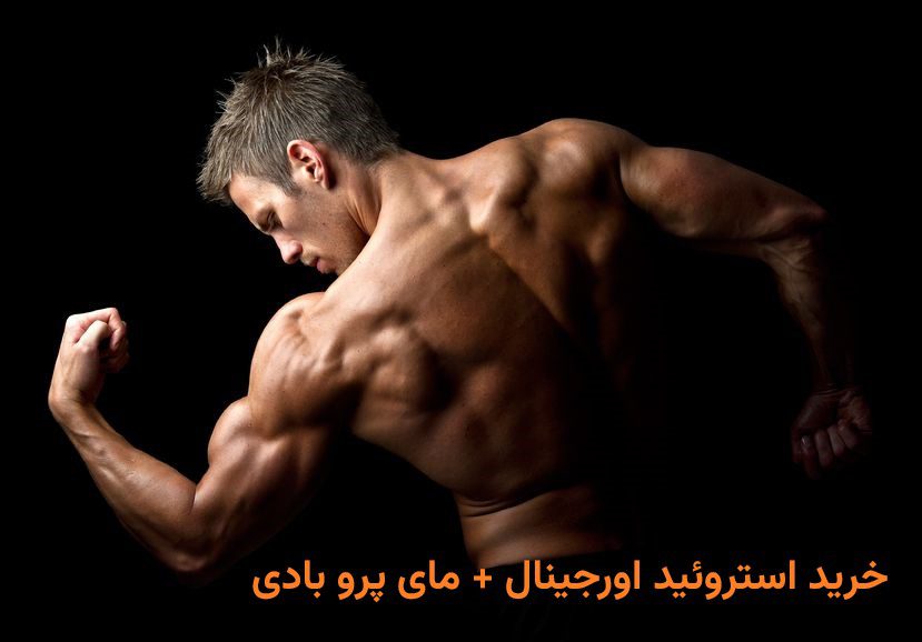 خرید استروئید اورجینال + فروشگاه مای پرو بادی