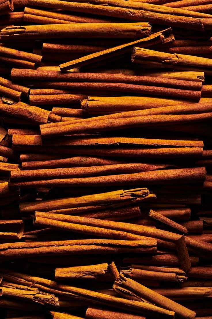 عصاره پوست دارچین ناو NOW Cinnamon Bark