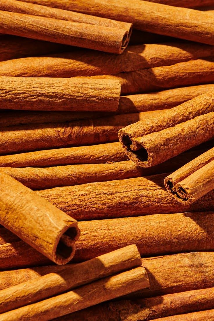 عصاره پوست دارچین ناو NOW Cinnamon Bark
